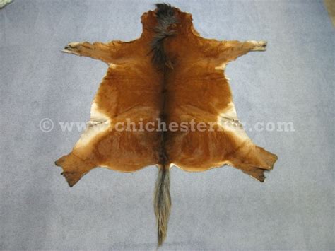 Horse Hides and Hair-on Horse Hides, Horse Skins, …