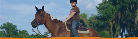 Horse Judging - Florida State Fair - UF/IFAS Animal …