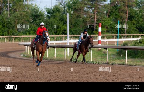 Horse Racing Tracks throughout Canada.