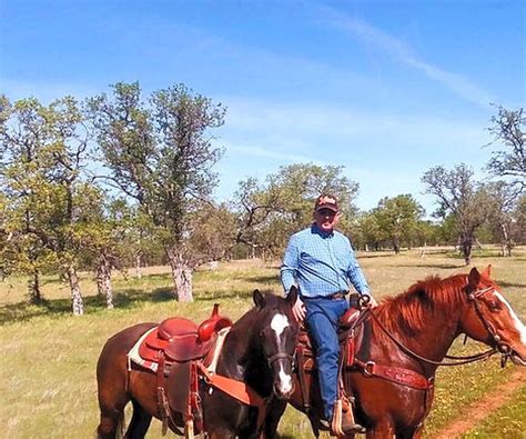 Horse Removal and Disposal Round The Clock Livestock United …