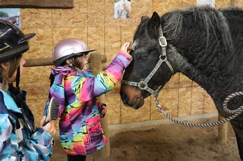 Horse School International Governing Body - Equine Connection