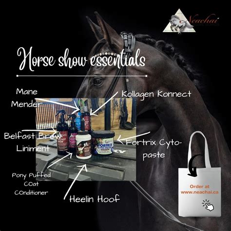 Horse Show Essentials - Home - Facebook