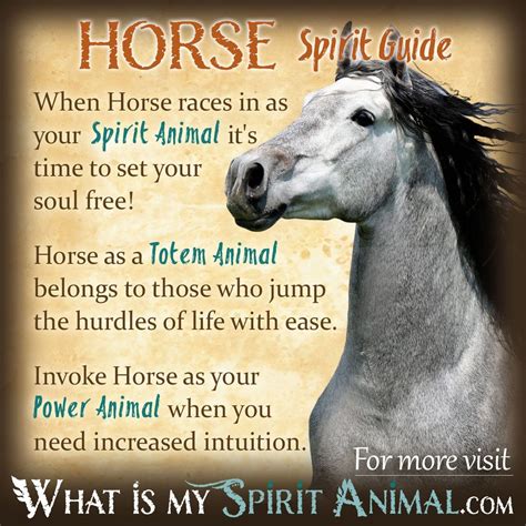 Horse Symbolism and Meaning and the Horse Spirit Animal