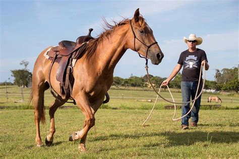 Horse Trainer - Etsy