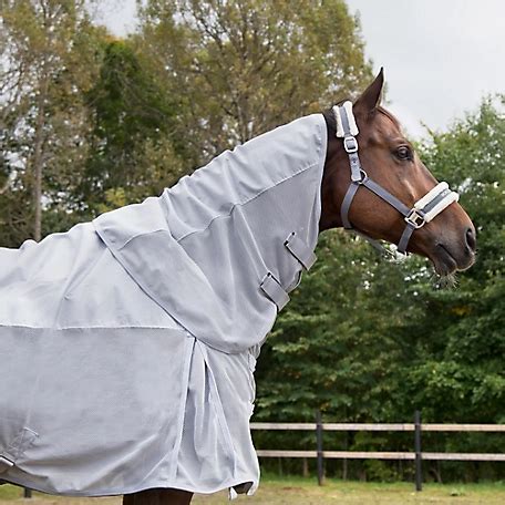 Horse Turnout Sheets at Tractor Supply Co.