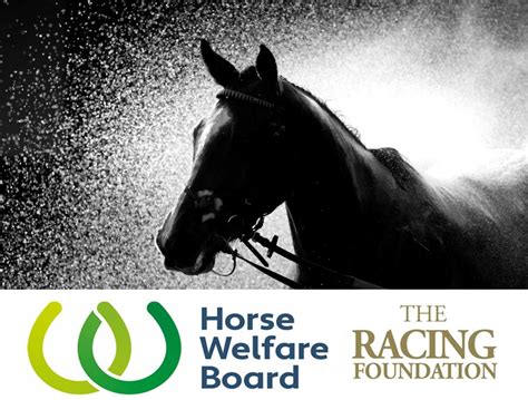 Horse Welfare Board LinkedIn