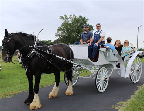 1 Hour Ride - No experience needed. Minimum age 8 - $55. 2 Hour Ride - Some experience and/or physically fit rider suggested - $110. Half Day Ride - Midweek - For experienced riders 4 hours. - $220. Horse-drawn Carriage Rides - 30 minutes, seats up to 5 - $65. Wedding Carriage - The grand entrance you've dreamed of ...
