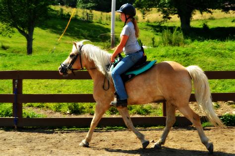 Horse and riding. Riding a four-wheeler is different from riding any other type of vehicle. Riding a four-wheeler can be for fun, work or recreational activities. Many hunters use four-wheelers to g... 
