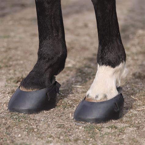Horse boots hoof. predolo Horse Hoof Boots Rubber Durable Equine Hoof Protector Multifunction Comfortable Sturdy Horses Protection for Training Equestrian Fittings, S. 2.5 out of 5 stars. 2. $23.49 $ 23. 49 ($23.49 $23.49 /Count) 5% coupon applied at checkout Save 5% with coupon. FREE delivery Jan 17 - 22 . 