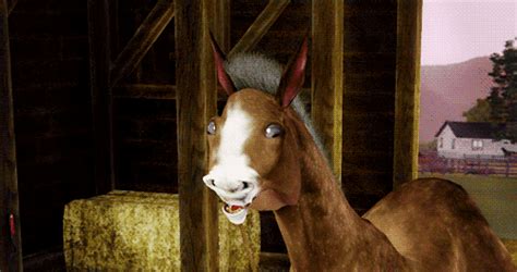 Horse cuming gif. Things To Know About Horse cuming gif. 