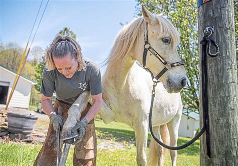 Horse farrier near me. Things To Know About Horse farrier near me. 