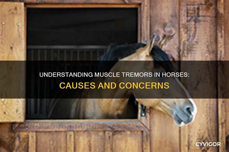 Horse flank twitching.  Common triggers include electrolyte imbalances, such as deficiencies...