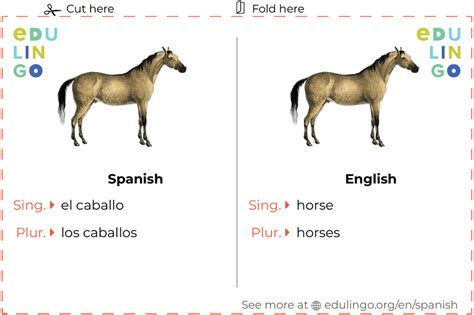 Horse in spanish. Things To Know About Horse in spanish. 