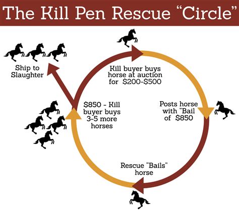 From the Kill Pen & More. Join group. We are a strong network of advocates that work tirelessly to save horses within the slaughter pipeline. The term “kill pen” is used to describe a feedlot that holds a USDA license to legally export... . 