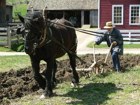 Horse pulled plow. Horse Drawn Plows and Plowing. Suffolk Punch Draft Horse on a Bob-sled. For Doc and me, plowing with horse-drawn walking plows is a favorite activity. We both enjoy … 