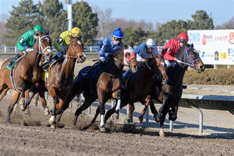 Horse races at fonner park. See the official Fonner Park horse race results for 29/04/2023 including margins, stats, time, odds and more at Racenet! 
