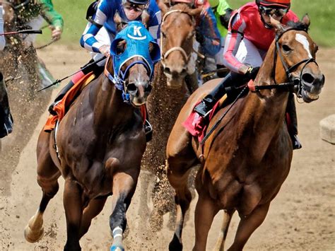 The channel on which horse racing is broadcast on the TVG Network depends on where the viewer lives and the cable or satellite provider that the viewer has. With a membership, TVG is also available as a streaming service online at TVG’s web.... 