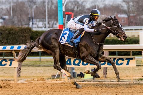Horse racing pick. Handicapper J. Keeler Johnson shares best bets and quick picks for Wednesday, Dec. 20 at Turfway Park, including a 12-1 longshot to use in the $1,419 Super High 5 carryover.. Today’s special offers from TwinSpires include:. Bayou & Bluegrass 10x Points: Receive 10x reward points on all wagers (excluding show … 
