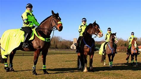 Horse riding experiences in Norfolk