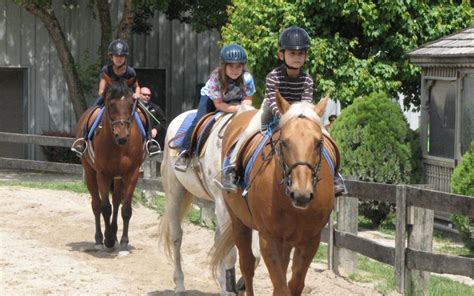 Hundreds have signed a petition to save the Potomac Horse Center (PHC) after it was announced that it would be closing its doors in July.. The last day will be on Monday, …. 