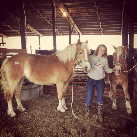 Horse sale in troutman nc. Things To Know About Horse sale in troutman nc. 