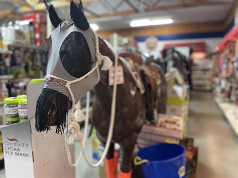 Horse sellers near me. The horses for sale are offered by private horse owners as well as by studs, breeders, riding and training stables who have the necessary experience in the horse trade. The … 