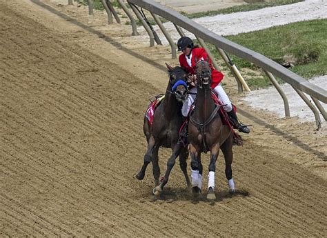 Horse trained by Bob Baffert euthanized on track after racing injury on Preakness undercard