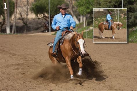 Horse trainer near me. At Sean Hardy Horse Training, we work with you and your horse, to ensure your horse has the best possible ... reasons why etc explained throughly. You leave his care feeling 100% happy . Cannot recommend this superb horse trainer enough if there’s ever 1 major thing you ever do with your horse put it with sean and you will be guaranteed a ... 