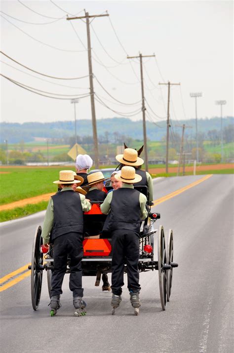 Horse-and-buggy riders in the pennsylvania countryside. Most Amish boys can handle a horse and buggy by age 12. In some communities children get their first driving experience with pony carts. ... Indiana, in 1967, was the first state to make triangles a requirement for buggies. Next was Ohio in 1974. And last, Pennsylvania in 1977. Conservative Amish still rejected the use of the triangles, some ... 