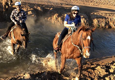 Horseback Rides - Koli Equestrian