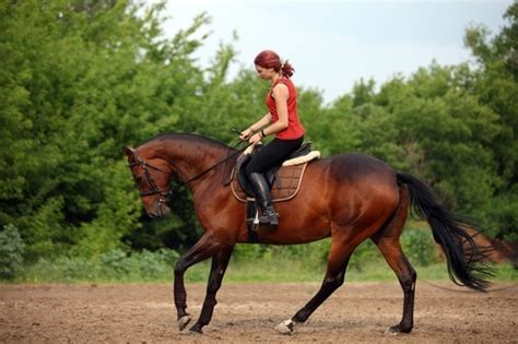 Horseback Riding Injury Lawsuits: Determining Fault & Damages