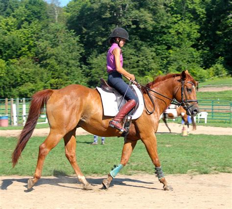 Horseback Riding Lessons and Trainers in Missouri