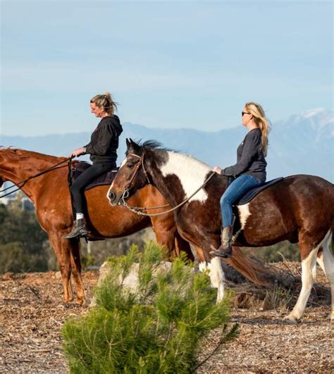 Horseback Riding in Huntington Beach Surf City USA