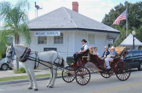 Horseback Riding in Mount Dora, Florida (Lake County)