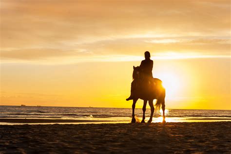 Horseback Riding in Myrtle Beach: Stables and Things to Know