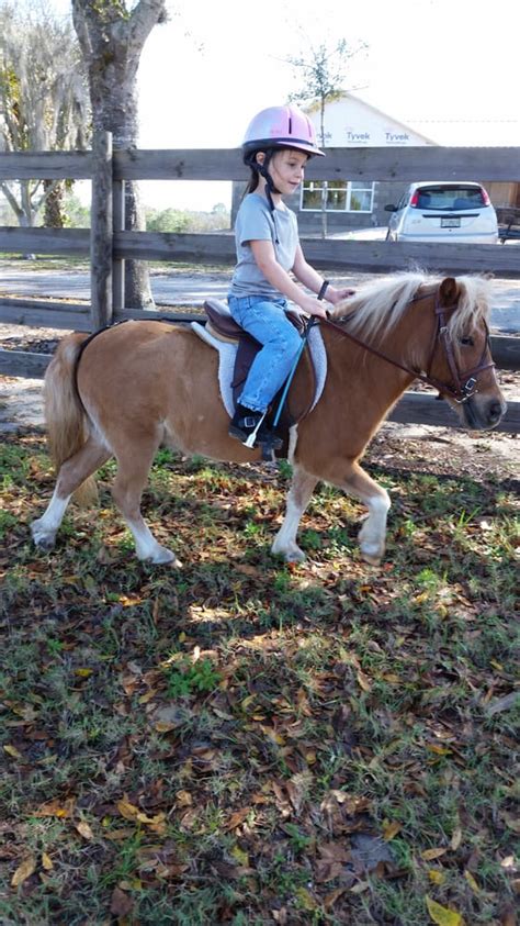 Horseback Riding in Sebring, Florida USA Today