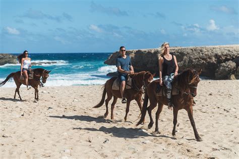 Horseback riding aruba. Horseback riding in Aruba generally takes place at the north-eastern part of the island. All the companies have guided or private tours to places like Andicuri Beach, The Natural Pool, Arikok National Park, The California Sand dunes, Daimari Beach, Wariruri Beach and other beautiful secluded places like The Bushiribana Gold Mill Ruins. 