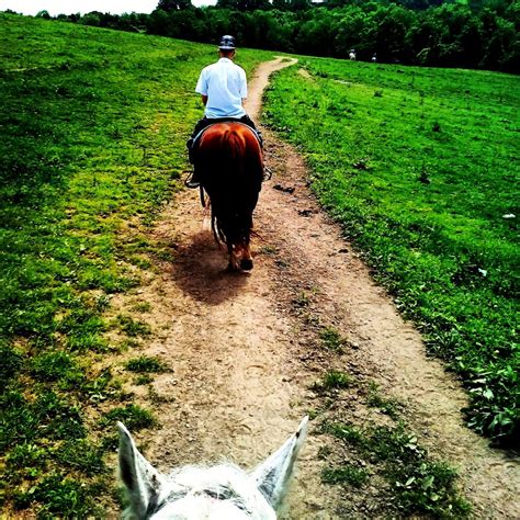The Rolling Hills Ranch has been a cornerstone of the Pittsburgh area horseback riding scene for 50 years. The ranch's secret to longevity is simple: the staff …. 