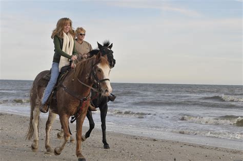 Horseback riding port st joe fl. Read what people in Port Saint Joe are saying about their experience with Two-bit Stable Horseback Riding On the Beach at 240 Cape San Blas Rd - hours, phone number, address and map. 