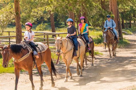 Horseback trail rides near me. Things To Know About Horseback trail rides near me. 