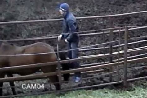 Porn video for tag : Horse cumshot Relevancy Newest Top rated Most viewed Longest Most discussed Most favorited. Horse Cumshot. 03:11. 366.1K. Nice horse cumshot. 00:28. 234.8K. Wild cartoon cumshot compilation featuring busty naked... 33:00. 40.8K. Horse cums. 01:06. 282.5K. Horse cumshot into the mouth mature. 00:37.