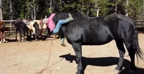 Sex charged ranch helper drops his pants for beast sex with... Extreme porn videos for Horse fucking donkey. New videos about horse fucking donkey added today! You will find all your kinky fantasies! Even the most perverse.
