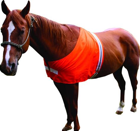 Horseloverz - Caring for Horse Turnout Blankets: Keeping Your Equine Friend Warm and Dry October 1, 2023; How to Know When to Start Blanketing Your Horse September 1, 2023; …