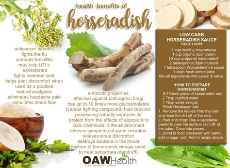 Horseradish, a universal herbal medicine