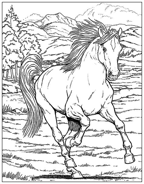 Horses - Coloring Pages for Adults - Just Color