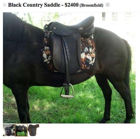 Bay. Height (hh) 12.3. Cookie is an approx 9 yr old mare, that has a pleasant, ready for the next adventure attitude. Has been trail ridden both alone and in groups. She will…. View Details. $9,000.. Horses for sale in michigan craigslist