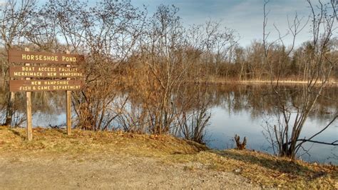 Horseshoe Pond, Concord - New Hampshire, US - Birding Hotspots