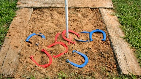  current price $55.79. Professional Grade Horseshoe Set- Heavy Duty Set with Carrying Bag, 4 Horse Shoes and 2 Poles for Outdoor Fun for Adults and Kids by Trademark Games. 5. 2 out of 5 Stars. 5 reviews. Available for 2-day shipping. 2-day shipping. Champion Sports Steel Horseshoe Set. Add. . 