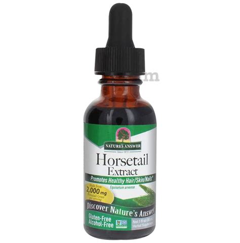 Horsetail Extract at Best Price in India