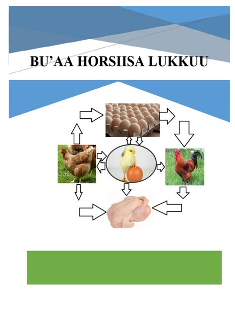 Horsiisa lukkuu pdf free download telegram.  5. doc), PDF File (.  4.  Kitaabni ...